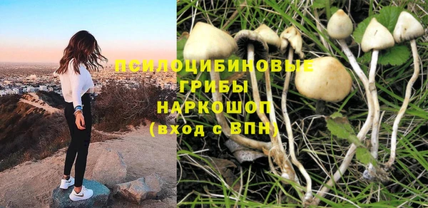 эйфоретик Волоколамск